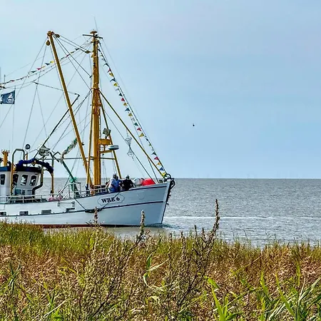 Merle Hans Albers 24 Ferienhaus