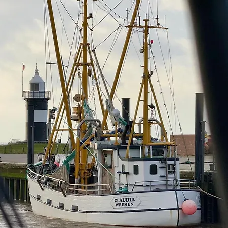 Merle Hans Albers 24